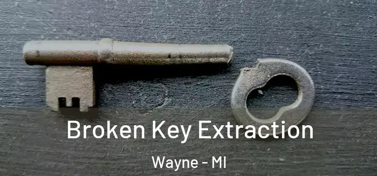  Broken Key Extraction Wayne - MI