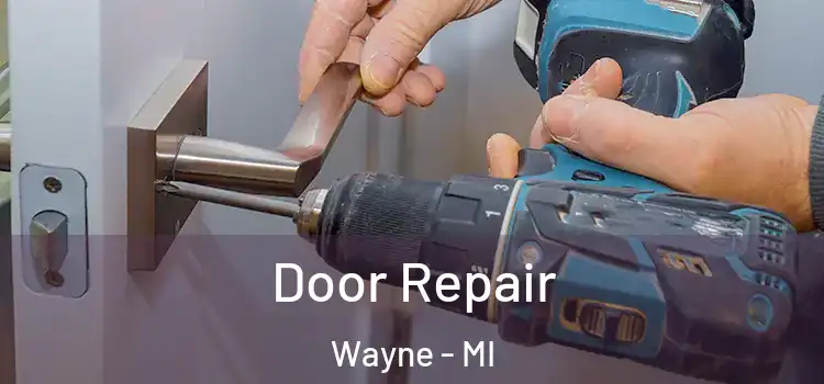  Door Repair Wayne - MI