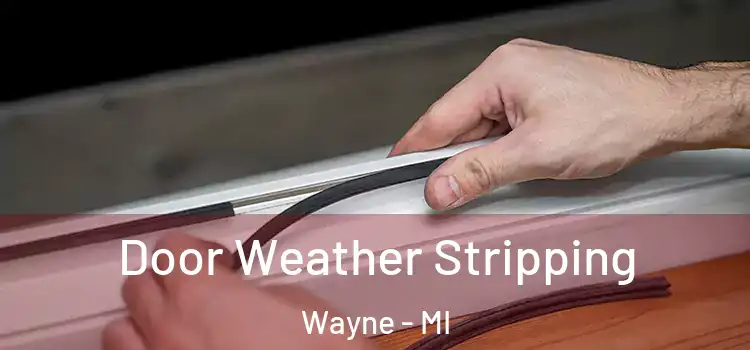  Door Weather Stripping Wayne - MI