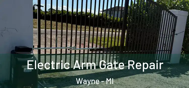  Electric Arm Gate Repair Wayne - MI