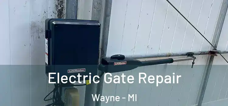  Electric Gate Repair Wayne - MI