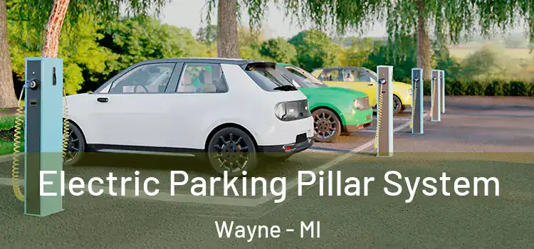  Electric Parking Pillar System Wayne - MI
