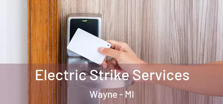  Electric Strike Services Wayne - MI