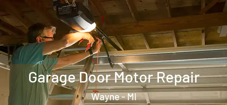  Garage Door Motor Repair Wayne - MI