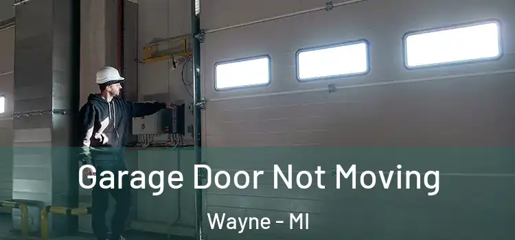  Garage Door Not Moving Wayne - MI