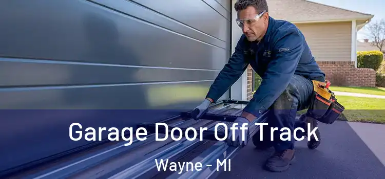  Garage Door Off Track Wayne - MI