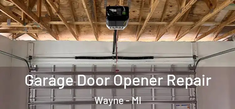  Garage Door Opener Repair Wayne - MI