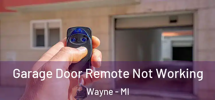  Garage Door Remote Not Working Wayne - MI