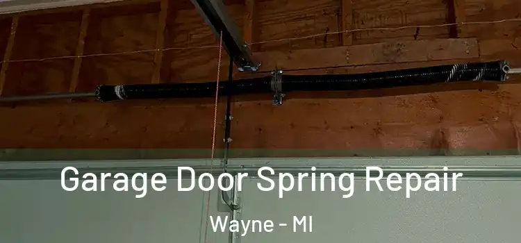  Garage Door Spring Repair Wayne - MI
