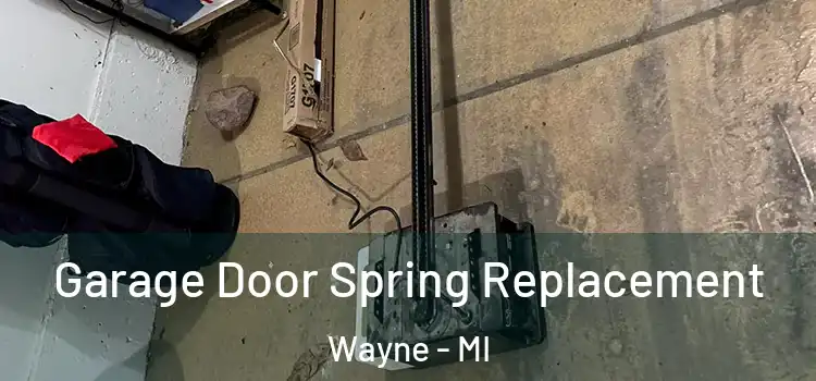  Garage Door Spring Replacement Wayne - MI
