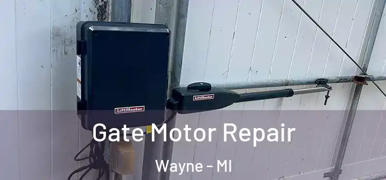  Gate Motor Repair Wayne - MI