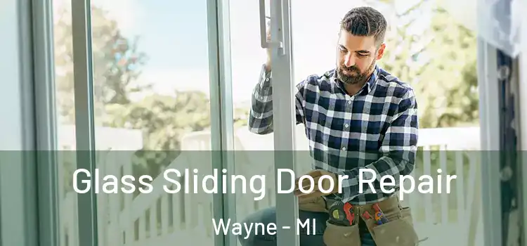  Glass Sliding Door Repair Wayne - MI