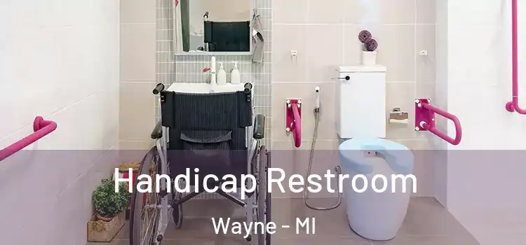 Handicap Restroom Wayne - MI