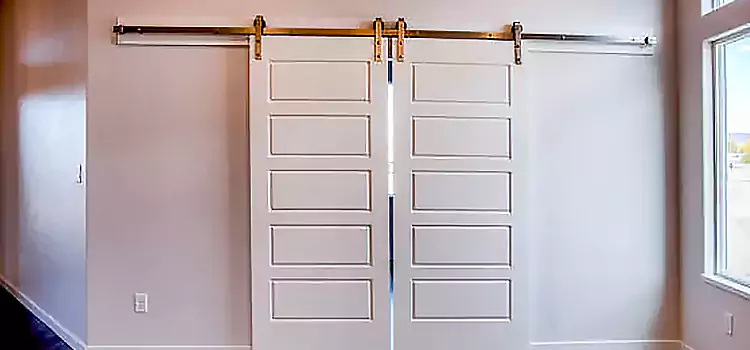 Glass Barn Door with Installation Hardware Kit Wayne