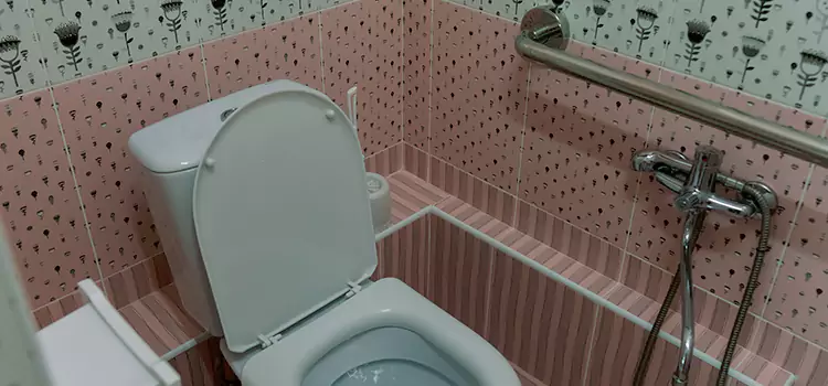 Meeting Diverse Needs With Accessible Restroom Solutions in Wayne, MI
