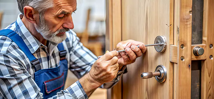 Mortise Replacement Lock Wayne