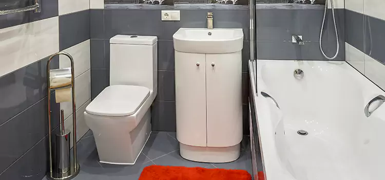 Hansgrohe Shaving Mirror Wayne