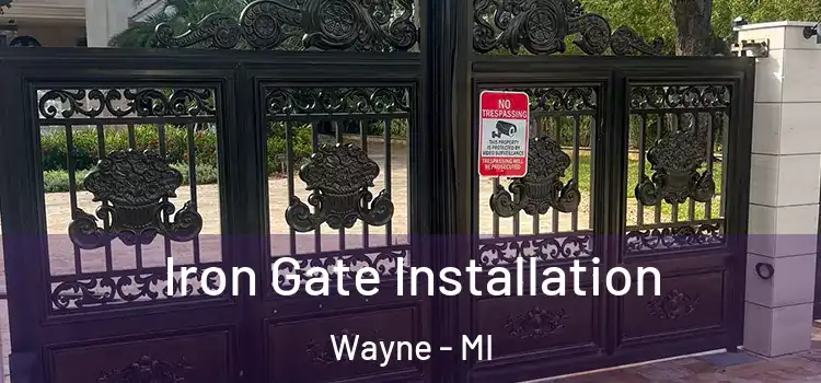 Iron Gate Installation Wayne - MI