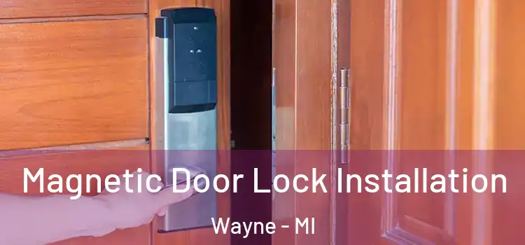  Magnetic Door Lock Installation Wayne - MI