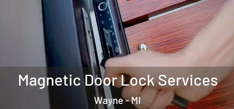  Magnetic Door Lock Services Wayne - MI
