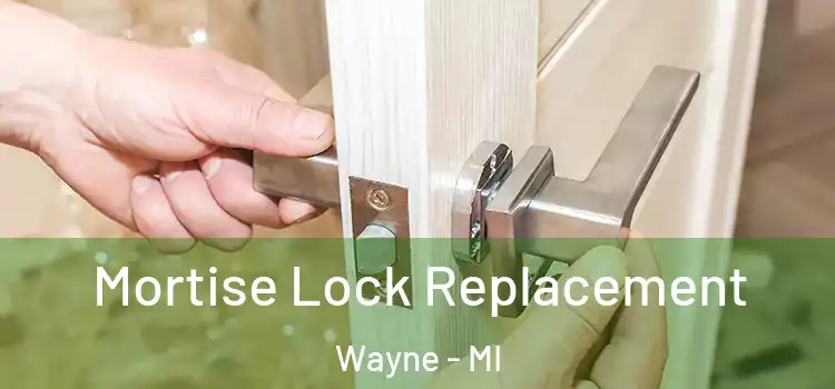  Mortise Lock Replacement Wayne - MI