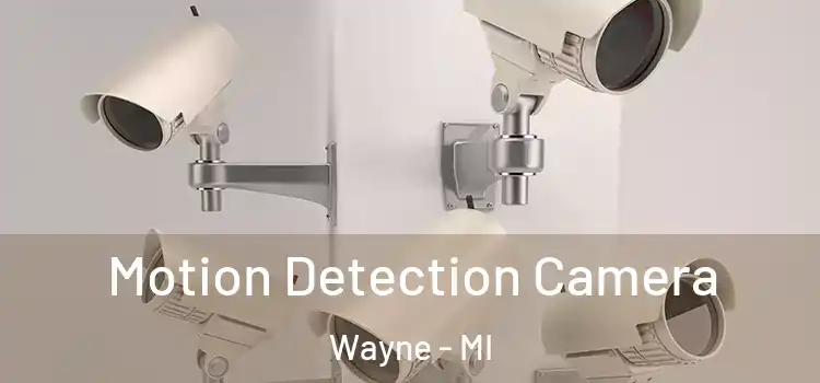  Motion Detection Camera Wayne - MI