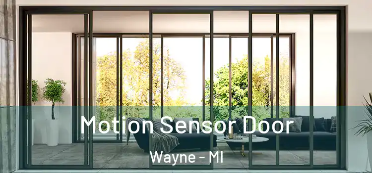 Motion Sensor Door Wayne - MI