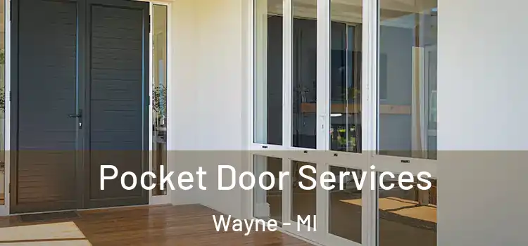 Pocket Door Services Wayne - MI