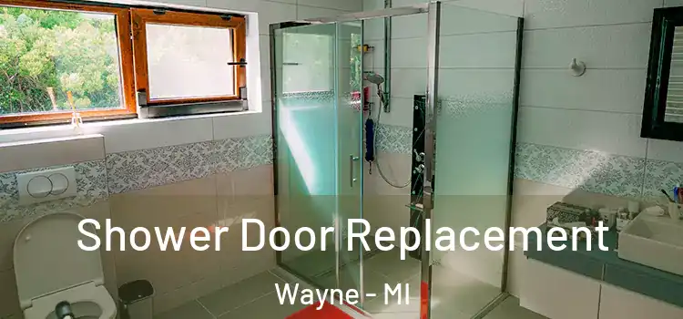  Shower Door Replacement Wayne - MI