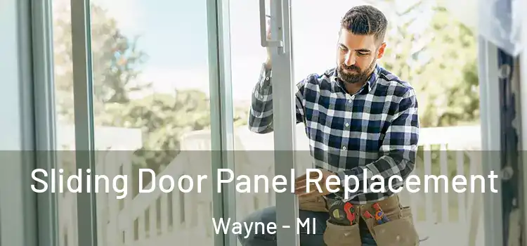  Sliding Door Panel Replacement Wayne - MI
