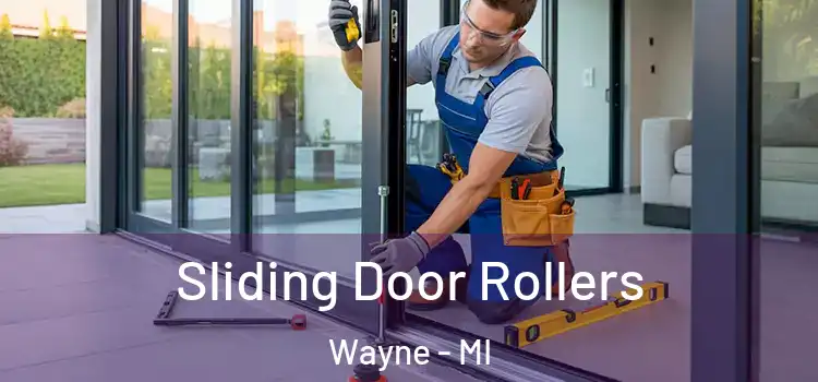  Sliding Door Rollers Wayne - MI