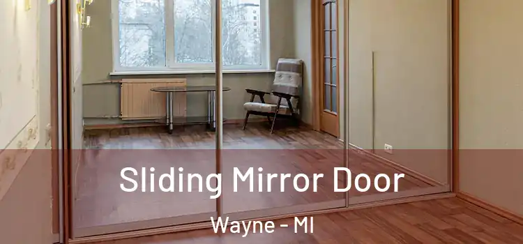  Sliding Mirror Door Wayne - MI