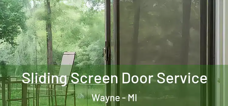  Sliding Screen Door Service Wayne - MI