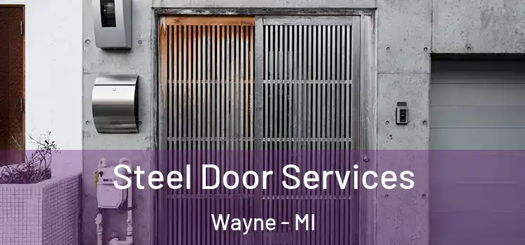  Steel Door Services Wayne - MI
